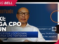 Gapki: Harga CPO Turun Tak Terkait Lockdown Malaysia