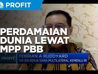 Misi Indonesia Menjaga Perdamaian Dunia Lewat MPP PBB