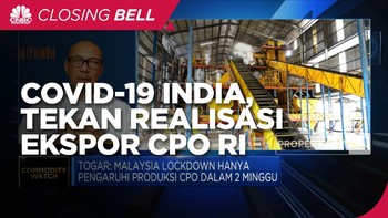 Peningkatan Kasus Covid India Tekan Realisasi Ekspor CPO