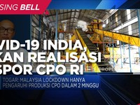 Peningkatan Kasus Covid India Tekan Realisasi Ekspor CPO