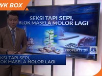 Seksi Tapi Sepi, Blok Masela Molor Lagi