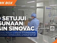 WHO Setujui Vaksin Sinovac untuk Penggunaan Darurat
