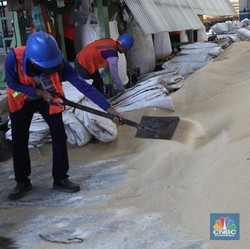 Siap-Siap! RI Bakal Kedatangan 200 Ribu Ton Gula Mentah Impor