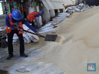 Siap-Siap! RI Bakal Kedatangan 200 Ribu Ton Gula Mentah Impor