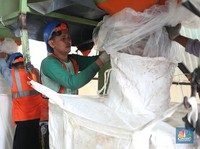 Katanya Negara Agraris, RI Malah Juara Impor Gula di Dunia