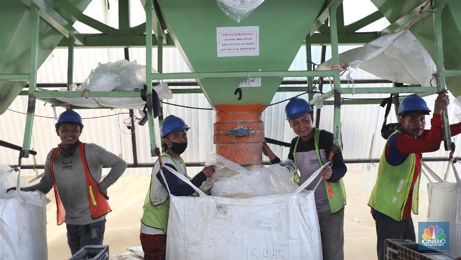 Gula kristal mentah (raw sugar) impor (CNBC Indonesia/Tri Susilo)