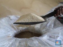 Harga Gula Dunia Tembus Rekor Tertinggi 11 Tahun Terakhir