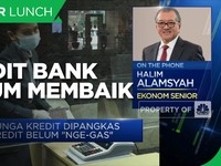 Halim Alamsyah:Risiko Masih Tinggi, Kredit Bank Belum Membaik