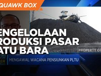 Pengelolaan Produksi & Pasar Batu Bara, PR Saat PLTU Pensiun