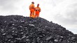 Lo Kheng Hong & Hermanto Tanoko masuk, Kok Saham ABMM Ambles?