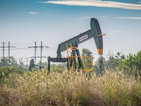 Pertamina Hulu Rokan Geber Pengembangan Usaha Lokal di Riau