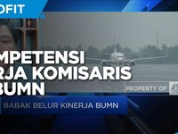 Pengamat Soal Pentingnya Kompetensi Kerja Komisaris di BUMN