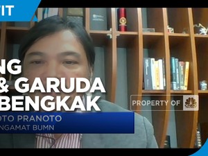 Utang Membengkak, Ini Yang Perlu Dilakukan PLN Hingga Garuda