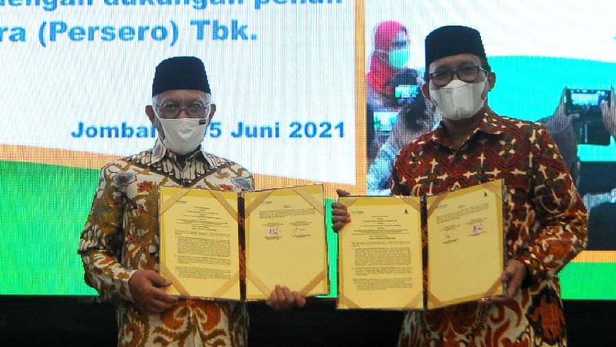 BTN