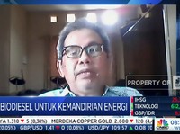 Agar Biodiesel Sukses, RI Harus Belajar dari Kegagalan Brasil