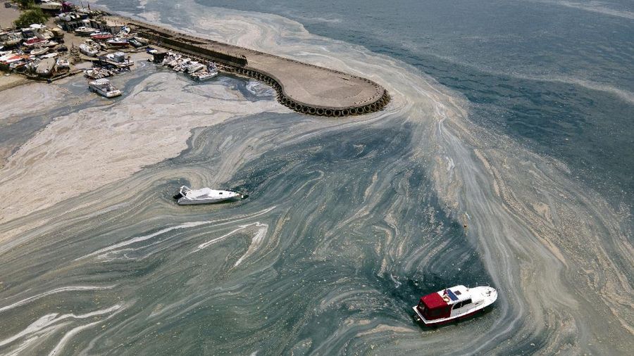 An aerial photo of the sea at the Caddebostan shore, in Asian side of Istanbul, Monday, June 7, 2021, with a huge mass of marine mucilage, a thick, slimy substance made up of compounds released by marine organisms, in Turkey's Marmara Sea. Turkey's President Recep Tayyip Erdogan promised Saturday to rescue the Marmara Sea from an outbreak of 