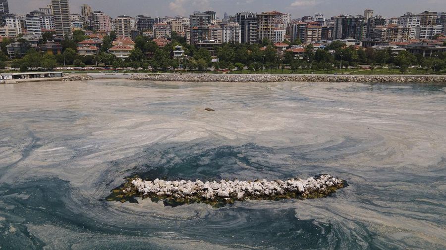 An aerial photo of the sea at the Caddebostan shore, in Asian side of Istanbul, Monday, June 7, 2021, with a huge mass of marine mucilage, a thick, slimy substance made up of compounds released by marine organisms, in Turkey's Marmara Sea. Turkey's President Recep Tayyip Erdogan promised Saturday to rescue the Marmara Sea from an outbreak of 