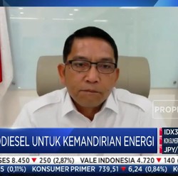 Serap 2,7 Juta SDM, Biodiesel Beri Nilai Tambah CPO Rp 31,9 T