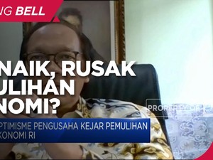 Harus hati-hati, Kenaikan PPN Bisa Rusak Pemulihan Ekonomi!