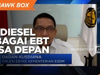 Kementerian ESDM Pastikan Biodiesel Mampu Jadi EBT Masa Depan