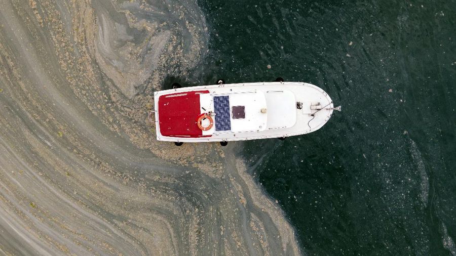 An aerial photo of the sea at the Caddebostan shore, in Asian side of Istanbul, Monday, June 7, 2021, with a huge mass of marine mucilage, a thick, slimy substance made up of compounds released by marine organisms, in Turkey's Marmara Sea. Turkey's President Recep Tayyip Erdogan promised Saturday to rescue the Marmara Sea from an outbreak of 