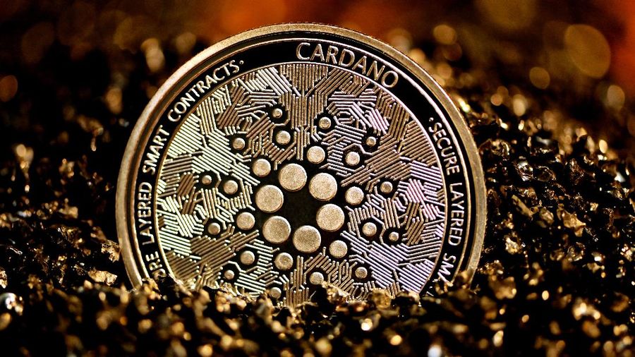 Ilustrasi Cardano (Photo by Executium on Unsplash)