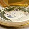 Panas! Elon Musk & Bos Binance Saling Serang Gegara Dogecoin