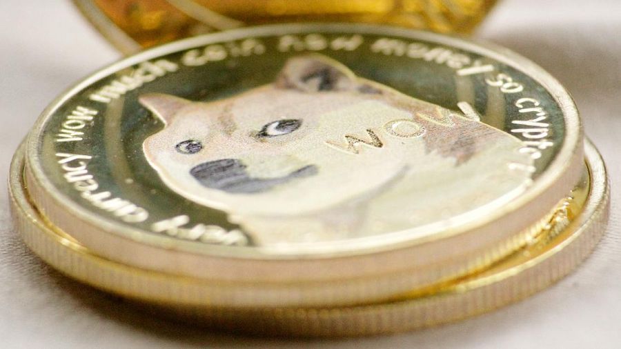 Ilustrasi Doge (Photo by Crystal Mapes on Unsplash)