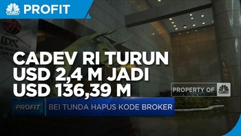 Mei 2021, Cadev RI Turun USD 2,4 M Jadi USD 136,39 M