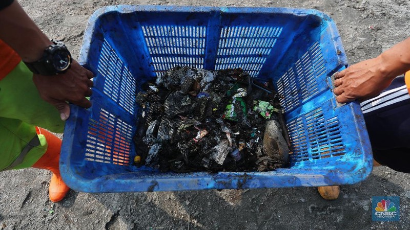 Pekerja Dinas Lingkungan Hidup membersihkan Pantai Cilincing di Jakarta, Selasa (8/6/2021). Pada 8 Juni diperingati sebagai Hari Laut Sedunia, peringatan ini dilakukan sebagai bentuk perhatian akan pentingnya ekosistem laut yang selama ini menjadi sumber daya yang dibutuhkan manusia. Menurut sejarahnya, Hari Laut dimulai sejak 1992. Mengutip dari lama resmi World Oceana Day, deklarasi ini dilakukan di Rio de Janeiro, Brazil yang digagas dalam Konferensi Perserikatan Bangsa-Bangsa tentang Lingkungan Hidup dan Pembangunan (UNCAD)  (CNBC Indonesia/ Tri Susilo)