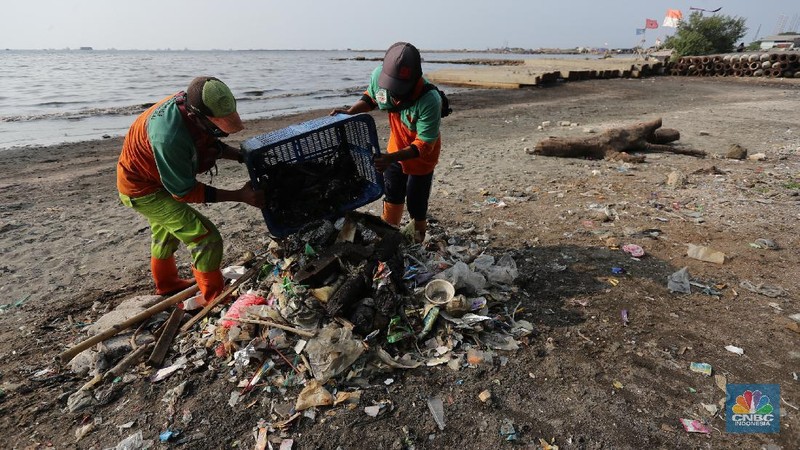 Pekerja Dinas Lingkungan Hidup membersihkan Pantai Cilincing di Jakarta, Selasa (8/6/2021). Pada 8 Juni diperingati sebagai Hari Laut Sedunia, peringatan ini dilakukan sebagai bentuk perhatian akan pentingnya ekosistem laut yang selama ini menjadi sumber daya yang dibutuhkan manusia. Menurut sejarahnya, Hari Laut dimulai sejak 1992. Mengutip dari lama resmi World Oceana Day, deklarasi ini dilakukan di Rio de Janeiro, Brazil yang digagas dalam Konferensi Perserikatan Bangsa-Bangsa tentang Lingkungan Hidup dan Pembangunan (UNCAD)  (CNBC Indonesia/ Tri Susilo)