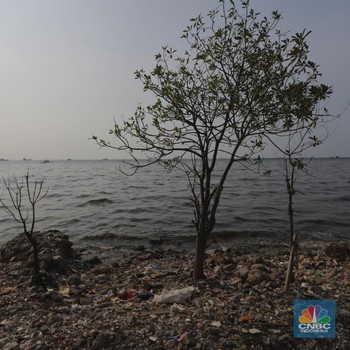 Penampakan 'Jorok' Pantai Cilincing di Hari Laut Sedunia