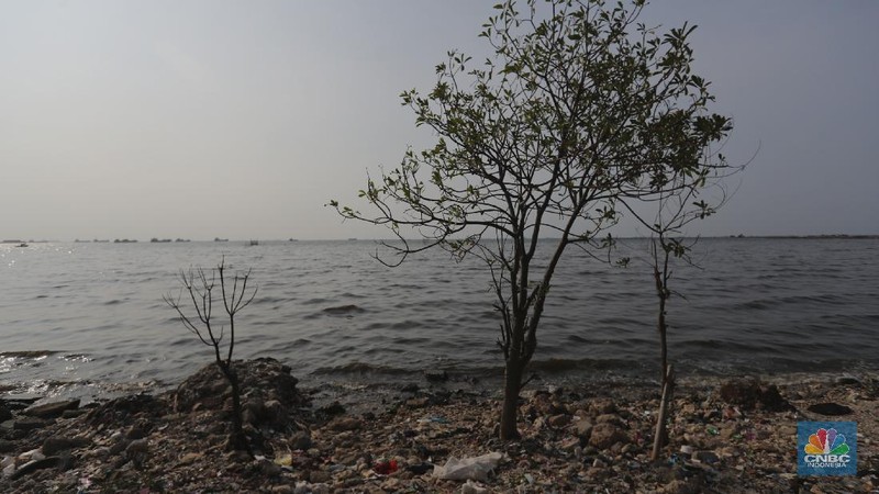 Pekerja Dinas Lingkungan Hidup membersihkan Pantai Cilincing di Jakarta, Selasa (8/6/2021). Pada 8 Juni diperingati sebagai Hari Laut Sedunia, peringatan ini dilakukan sebagai bentuk perhatian akan pentingnya ekosistem laut yang selama ini menjadi sumber daya yang dibutuhkan manusia. Menurut sejarahnya, Hari Laut dimulai sejak 1992. Mengutip dari lama resmi World Oceana Day, deklarasi ini dilakukan di Rio de Janeiro, Brazil yang digagas dalam Konferensi Perserikatan Bangsa-Bangsa tentang Lingkungan Hidup dan Pembangunan (UNCAD)  (CNBC Indonesia/ Tri Susilo)