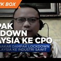 Gapki: Belum Ada Dampak Signifikan Lockdown Malaysia ke CPO