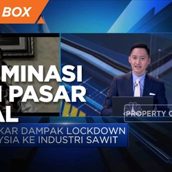 Gapki Dukung Langkah Defensif Hadapi Diskriminasi CPO RI
