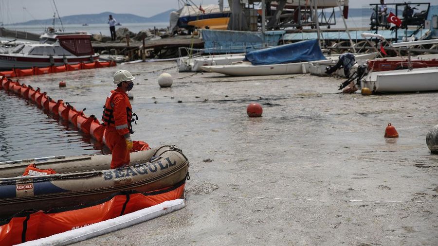 People ride a canoe by the Caddebostan shore, on the Asian side of Istanbul, Tuesday, June 8, 2021, surrounded by a huge mass of marine mucilage, a thick, slimy substance made up of compounds released by marine organisms, in Turkey's Marmara Sea. Turkey’s president has promised to rescue the Marmara Sea from an outbreak of “sea snot” that is alarming marine biologists and environmentalists. A huge mass of marine mucilage has bloomed in Turkey’s Marmara and the adjoining Black and Aegean Seas. Turkish President Recep Tayyip Erdogan said untreated waste dumped into the Marmara Sea and climate change had caused the bloom of the thick, slimy substance made up of compounds released by marine organisms, Istanbul, Turkey’s largest city, borders the sea. (AP Photo/Kemal Aslan)