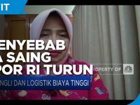 Ekonom: Pungli & Premanisme Bikin Daya Saing Ekspor RI Turun