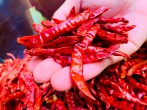 7 Cara Mengatasi Tangan Panas karena Terkena Cabai agar Segera Menghilang