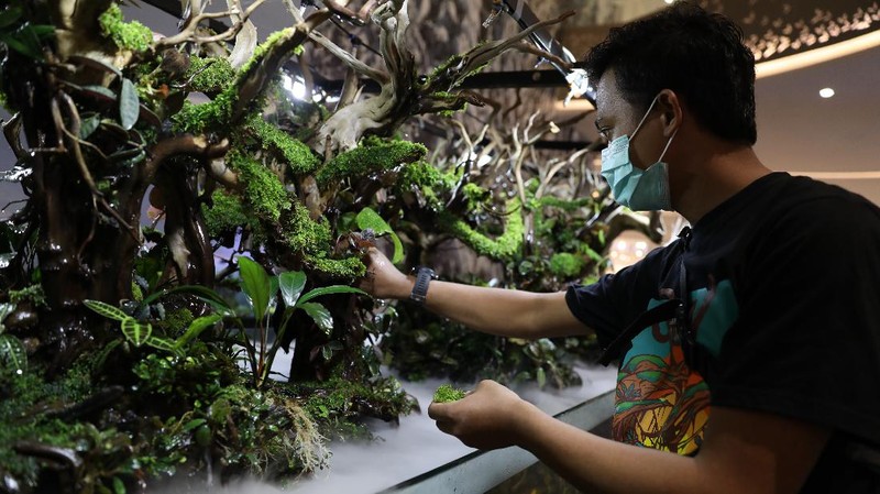 Trans World of Plants (CNBC Indonesia/ Andrean Kristianto)