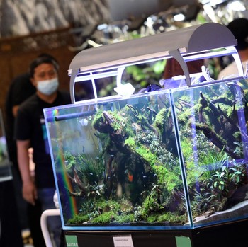 Yuk! Intip Serunya Pameran Aquascape di Trans Studio Cibubur