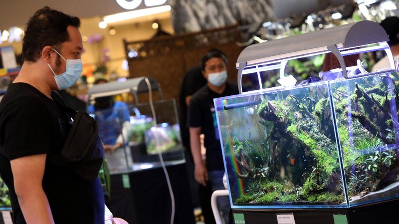 Trans World of Plants (CNBC Indonesia/ Andrean Kristianto)