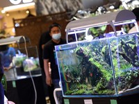 Yuk! Intip Serunya Pameran Aquascape di Trans Studio Cibubur