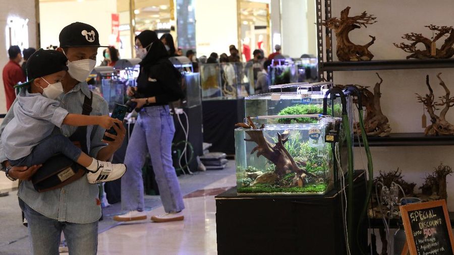 Trans World of Plants (CNBC Indonesia/ Andrean Kristianto)