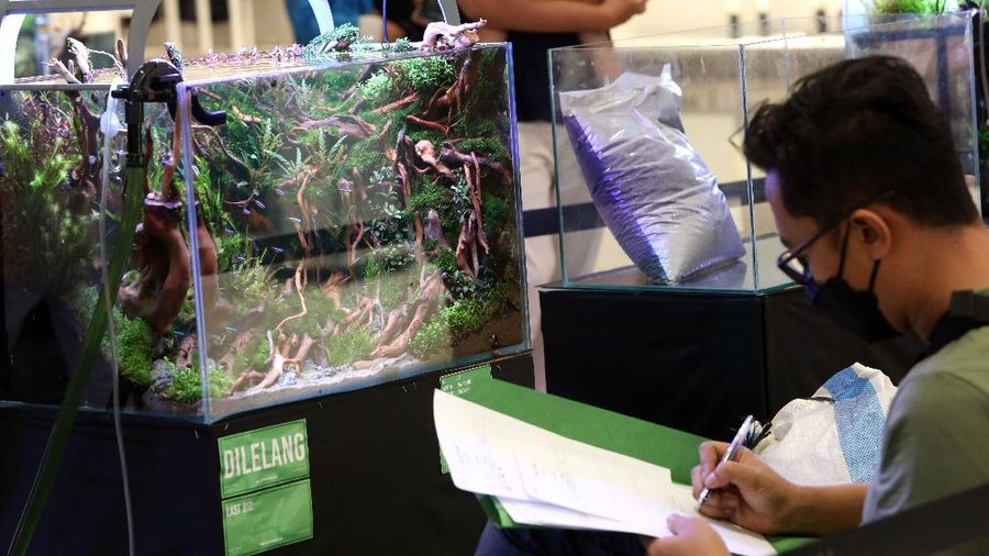 Trans World of Plants (CNBC Indonesia/ Andrean Kristianto)