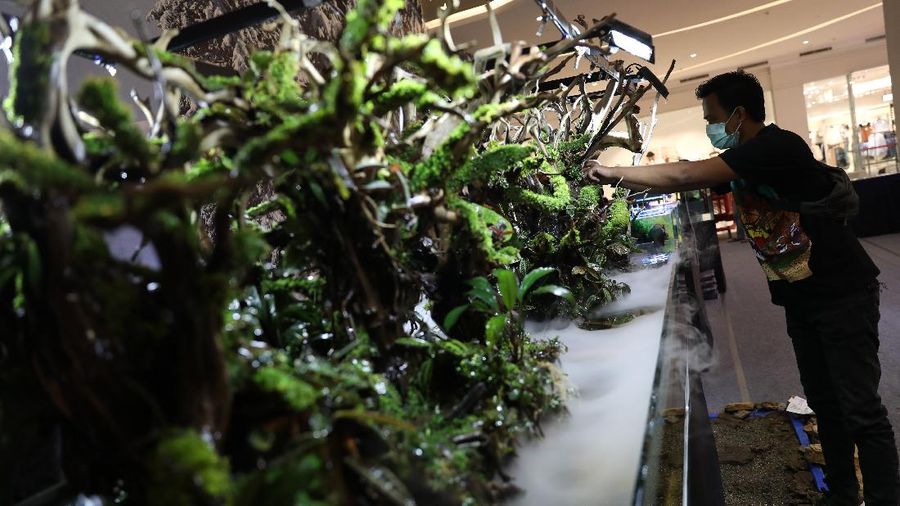 Trans World of Plants (CNBC Indonesia/ Andrean Kristianto)