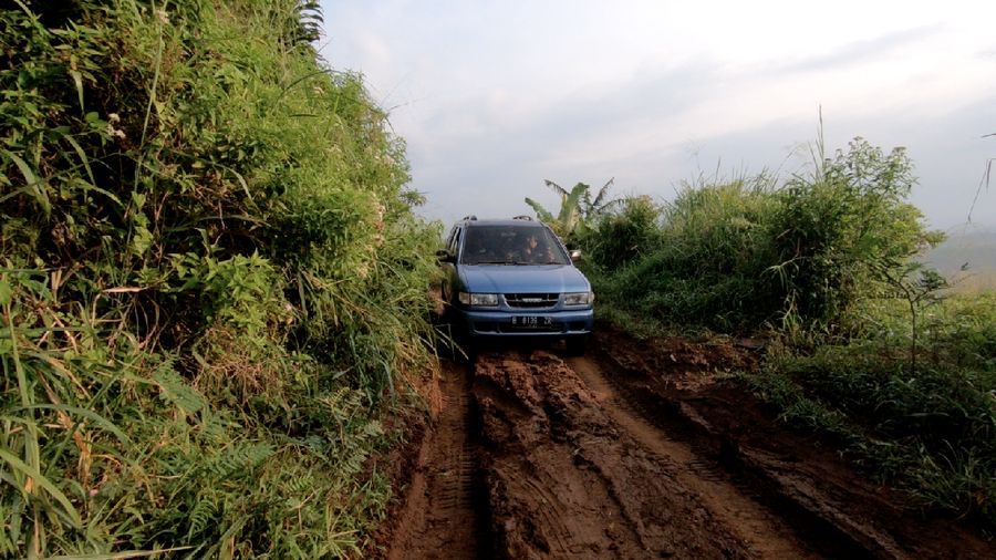 Bukit Bodogol, Sukabumi (CNBC Indonesia/ Andrean Kristianto)