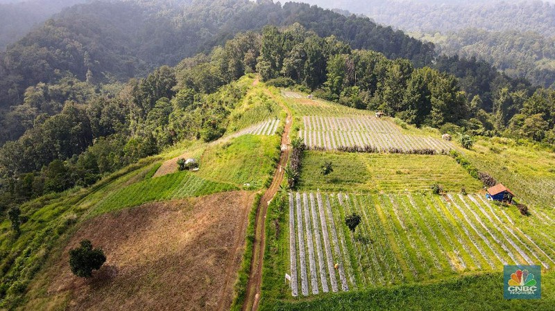 Bukit Bodogol, Sukabumi (CNBC Indonesia/ Andrean Kristianto)