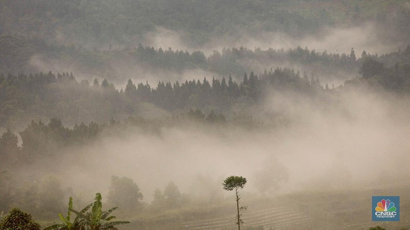 Bukit Bodogol, Sukabumi (CNBC Indonesia/ Andrean Kristianto)