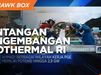 Modal Hingga Teknologi, Tantangan Pengembangan Geothermal RI