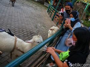 7 Wisata Alam Bandung Hits, Alternatif Selain Kebun Binatang